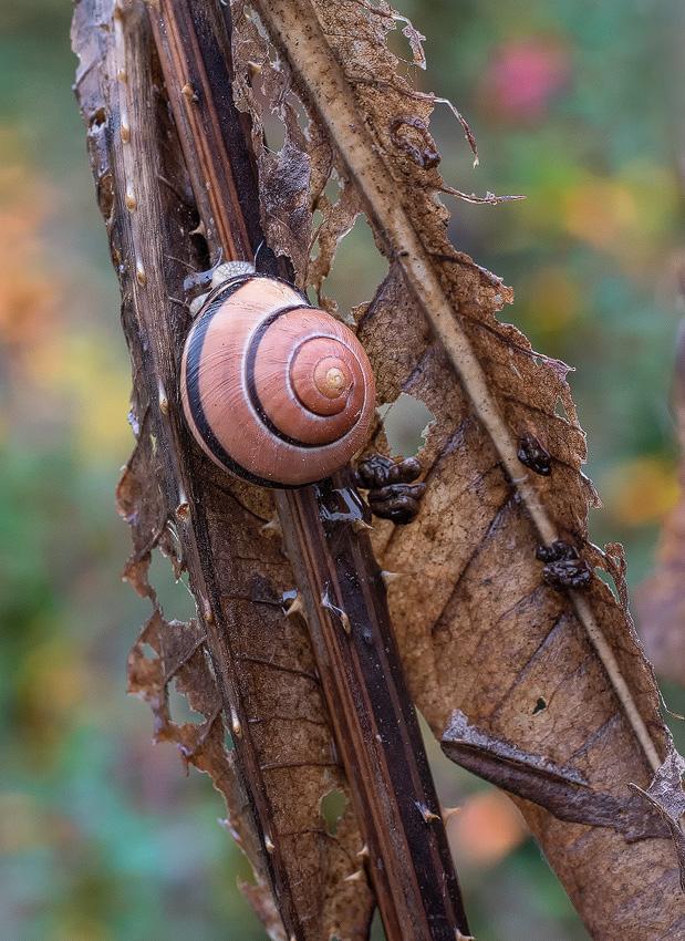 4711 16X_4052-1-Kopie.jpg